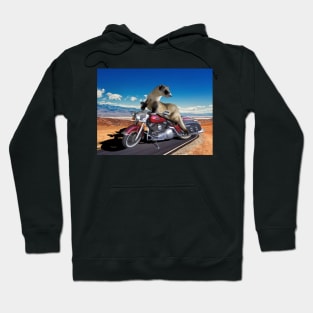 Ferret on a Motorcycle Hoodie